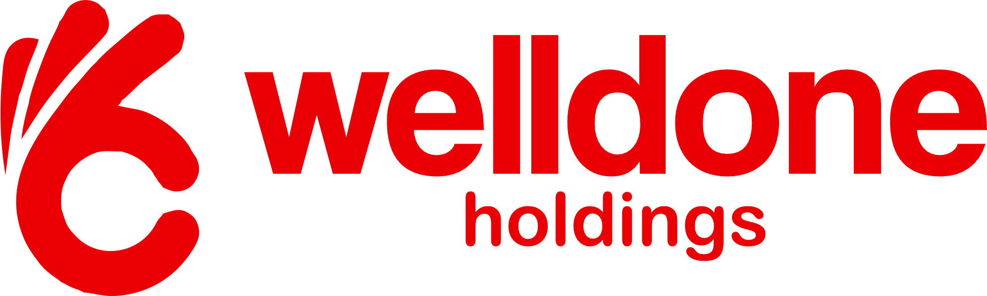 WELLDONE HOLDINGS